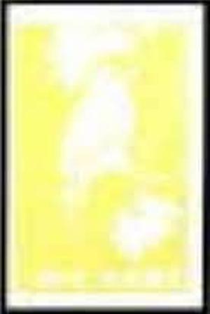 PVL04